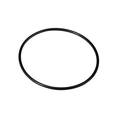Culligan OR-100A Replacement O-Ring for Large Housings